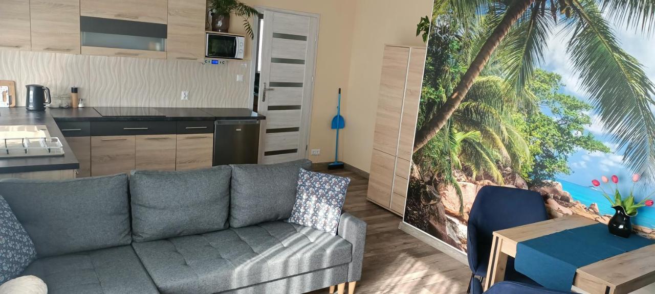 Apartamenty Modrzewiowe Tarasy Chojnice Exteriör bild